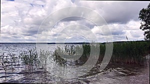 Freshwater lake. The boat swings on the waves among the reeds growing near the shore. There are a lot of clouds in the sky.