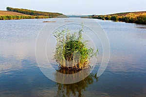 Freshwater lake and vegetation