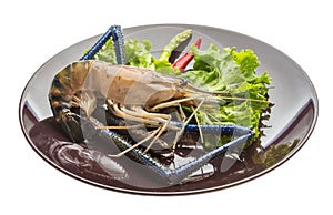 Freshwater prawn