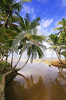 Freshwater river at Las Terrenas beach, Samana peninsula