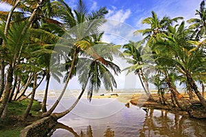 Freshwater river at Las Terrenas beach, Samana peninsula