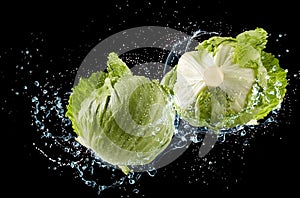 Freshy cabbage washing