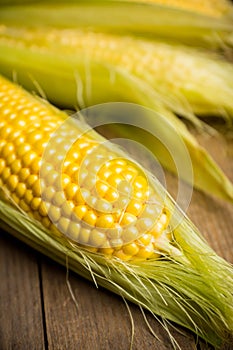 Freshy harvested corn in the wooden crate