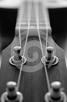 Fretboard close up