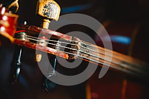 Fretboard and tuning peg of old shabby cello on black