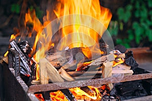 Frewood burning flames on iron grill with green grass on backgroundÑŽ