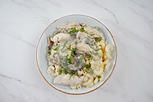 Fricassee - French Cuisine. Chicken stewed in a creamy sauce with mushrooms in a plate