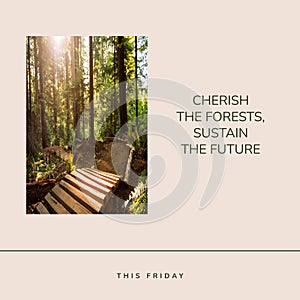 This friday, cherish the forests, sustain the future text and sun shining through trees in woodland