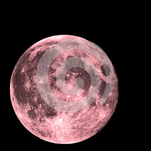 Full Strawberry Moon after Penumbral Eclipse photo