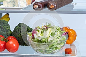 Fridge frozen ingredient meal nature, Salad in a plate refrigeration.