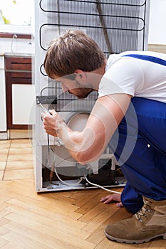 Fridge repair at home
