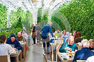 Fridheimar, Iceland - March 2024: Inside the Greenhouse Tomato Farm and Restaurant
