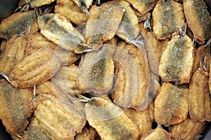 Fried anchovy photo