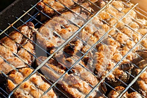 Fried appetizing slices of coho salmon on a metal grid closeup - healthy food enriched with vitamins. Cooking a family dinner on