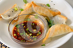 Fried Asian Potstickers Appetizer