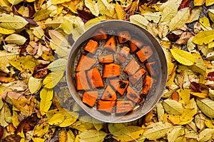 Fried baked on grill pumpkin, a traditional autumn snack.Warm dish as a dessert.