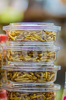 Fried bamboo worms packing in the market for sale. Bamboo caterpillar (Omphisa Fuscidentalis), fried bamboo worms that ready to ea