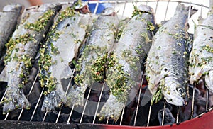Fried barbecue grill trout