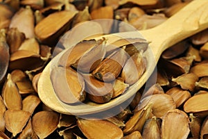 Fried beechnuts in a wooden spoon