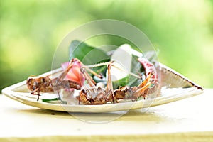 Fried Bombay Locust. (Patanga succincta Linn.)