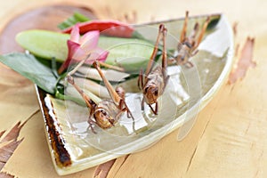 Fried Bombay Locust. (Patanga succincta Linn.)