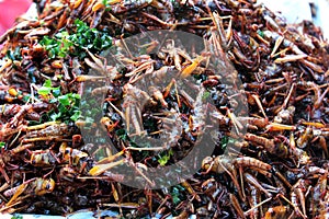 Fried bombay locusts with herb placed on the stall for sale