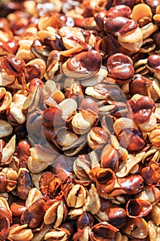 Fried broad bean or Vicia faba