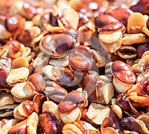 Fried broad bean or Vicia faba