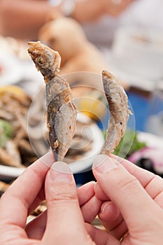 Fried Bulgarian Sprat and Trachurus photo