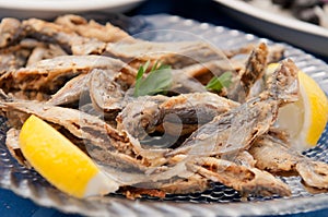 Fried Bulgarian Trachurus