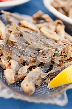 Fried Bulgarian Trachurus