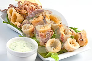 Fried calamari photo