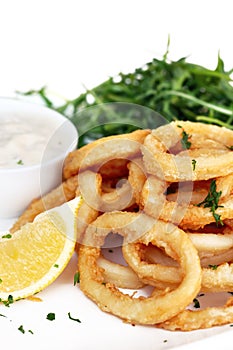 Fried Calamari