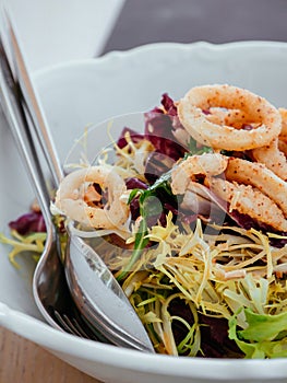 Fried Calamari Frisee Radicio green salad