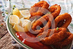 Fried calamari rings close up with ketchup and lemon. Horizontal