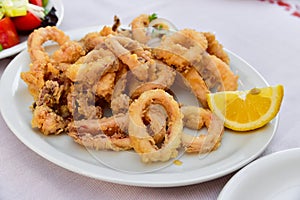 Fried calamari rings photo