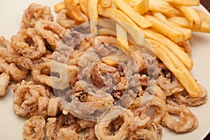 Fried calamari rings with fries