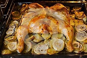 Fried chicken with baked potatoes and onions in the oven