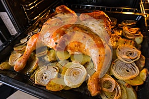 Fried chicken with baked potatoes and onions in the oven