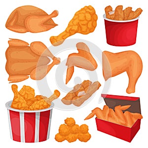 Fried chicken isolated cartoon set icon. Vector illustration crispy wing on white background. Vector cartoon set icon