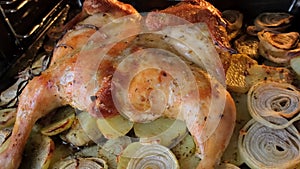 Fried chicken with spices and potatoes on a baking sheet is fried in the oven. The top view, closeup.