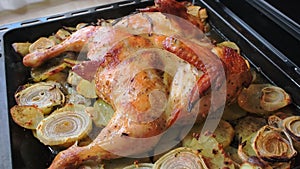 Fried chicken with spices and potatoes on a baking sheet is fried in the oven. The top view, closeup.