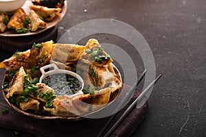 Fried Chinese dumpling called Gyoza, kind of asian food