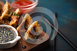 Fried Chinese dumpling called Gyoza, kind of asian food