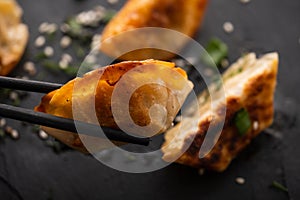 Fried Chinese dumpling called Gyoza, kind of asian food