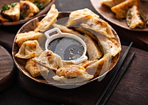 Fried Chinese dumpling called Gyoza, kind of asian food