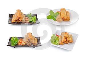 Fried chinese spring roll for appetizer on white background