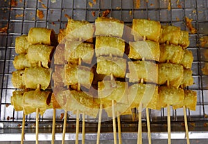 Fried Chinese traditional spring rolls