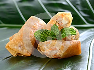 Fried Chinese Traditional Spring rolls food