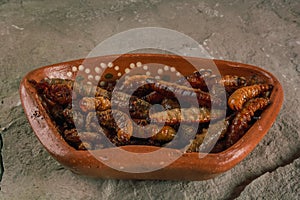 Fried chinicuiles with tortilla chips and guacamole